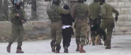 نوجوان فلسطینی جلوی سگ انداخته شد! +عکس