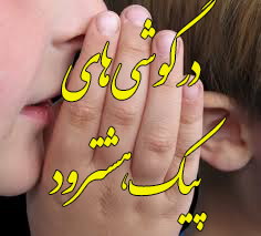 تصمیم گیریهای سیاسی برای هشترود در خارج از آن