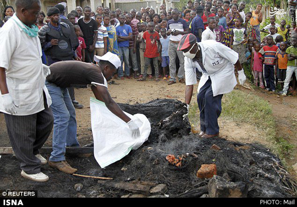 کنگویی‌ها یک تروریست را خوردند+عکس