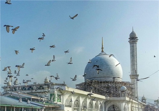 «حضرت‌بال» در کشمیر+عکس