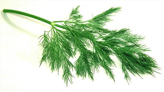 این سبزی را حتما بخورید