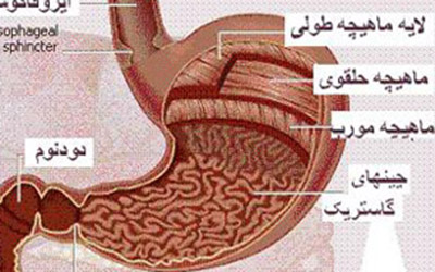 علت درد و سوزش معده‌