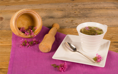 این گیاه شمارا به خواب عمیق فرو می برد