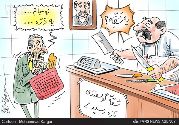 میزان مصرف گوشت عیدانه آسیب‌پذیر /کاریکاتور