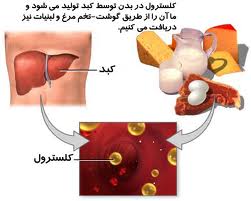 ۹ اصل برای کنترل کلسترول