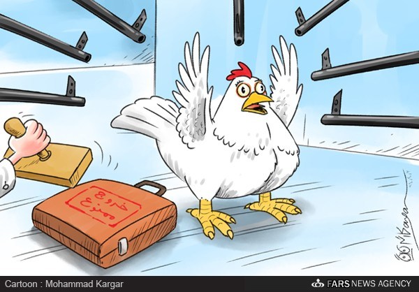کاریکاتور: مرغ های ممنوع الخروج!