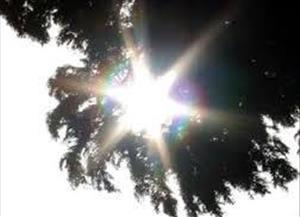 دمای آذربایجان شرقی گرم تر می شود