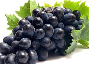 خواص معجزه آسای انگور برای بیماران سرطانی