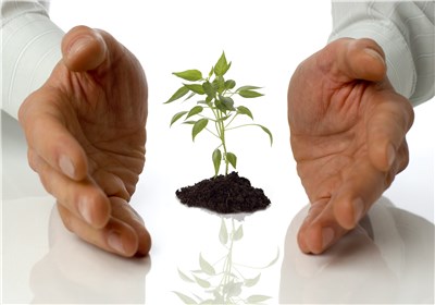 چگونه رزق خویش راافزایش دهیم +پاسخ پیامبر