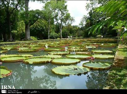 دو زن میانه ای در برکه روستای سبزارباط غرق شدند