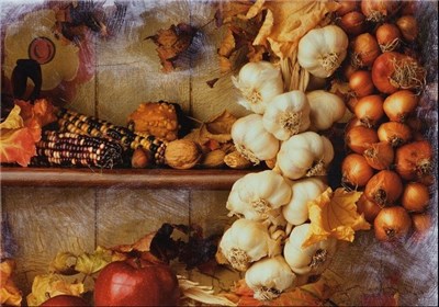 دو گیاه شفابخش برای دیابتی‌ها