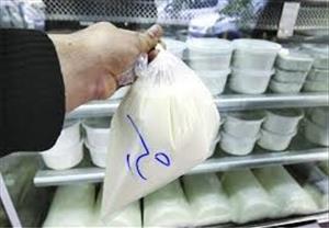 کمبود بودجه تبِ تب مالت در استانهای غربی را بالا برد/ مردم لبنیات سنتی مصرف نکنند