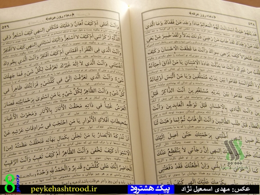 مراسم پرفیض دعای عرفه در هشترود برگزار شد +گزارش تصویری