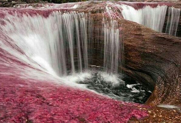 رودخانه‌ی ۵ رنگ، زیباترین رودخانه جهان (+عکس)