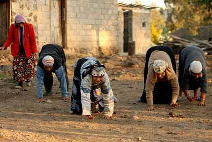 خانواده ای عجیب که ۴ دست و پا راه میروند +عکس