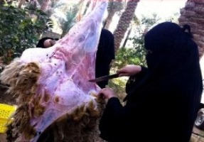 قصابی دختران سعودی +عکس