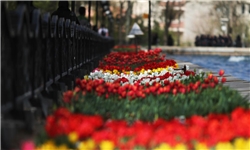 حضور ۳۲ کشور در اجلاس وزرای گردشگری کشورهای اسلامی