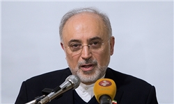 طرف مقابل مقداری بدقلقی کرد/ برجام انسجامی قوی دارد/ واکنش مناسب ایران در صورت بدعهدی ۱+۵
