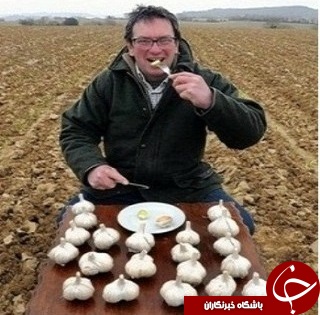 خوردن یک حبه سیر با معده خالی + عکس