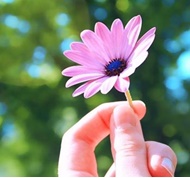برنامه‌ای چهارگانه برای سعادت