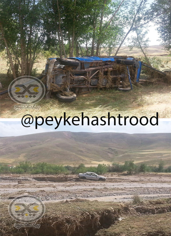 عکس خبری: از تقابل سیل و خودرو تا وقتی که سیل گاو را به بالای درخت می بَرد