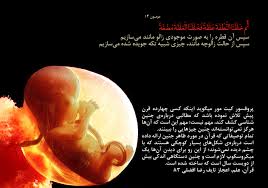 تشبیه جنین انسان به زالو و اشاره قرآن به آویزان شدن جنین از دیواره رحم