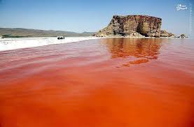 توضیح ناسادرباره قرمز شدن آب دریاچه ارومیه