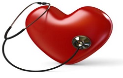 ۱۰ کلید طلایی برای سلامت قلب