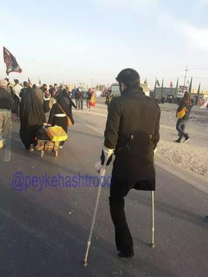 عکس خبری: همه آمده اند