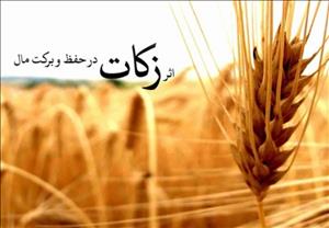 کشاورزان ۹۰ میلیارد ریال زکات پرداخت کرده‌اند/ رتبه ششم آذربایجانی‌ها در پرداخت زکات