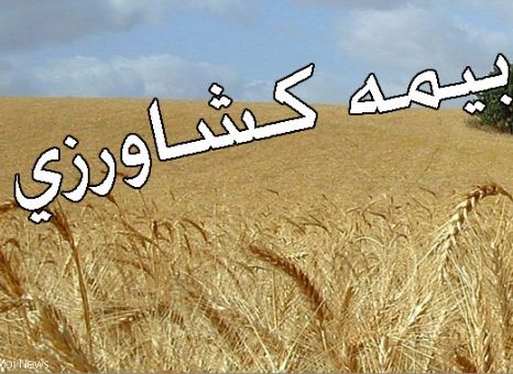 انتقاد از افزایش حق بیمه و عدم پرداخت کامل خسارت کشاورزان/ رئیس بانک کشاورزی هشترود: افزایش تعرفه بیمه بدلیل قرار گرفتن استان در مناطق پرخطر و افزایش تعهدات بیمه گر است