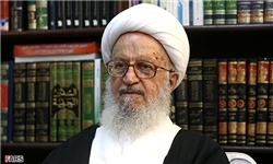 شرکت‌های هرمی باطل و غیرشرعی است/ گلدکوئیست لباس عوض کرده است/ به شورای نگهبان نامه نوشتم