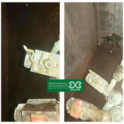 خطر مارگزیدگی برای نیروهای تعمیراتی شرکت گاز +عکس