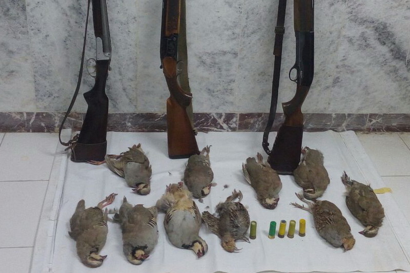 دو شکارچی متخلف در هشترود دستگیر شدند