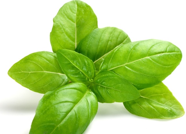 این سبزی ضد آلزایمر را بشناسید