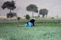 زنان زمین را نجات می‌دهند