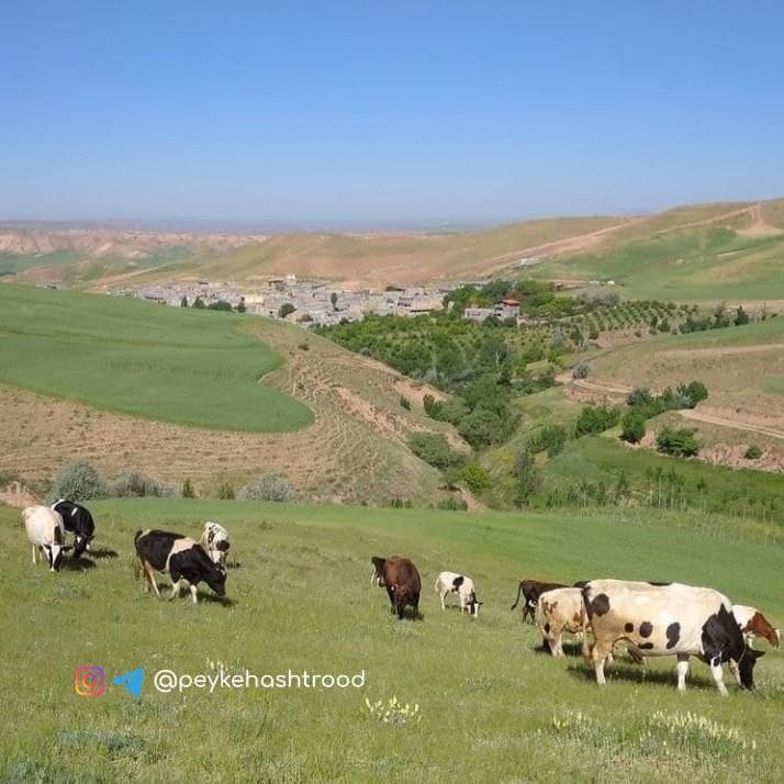 شهروند خبرنگار/ نماهایی از طبیعت روستای قره سقال